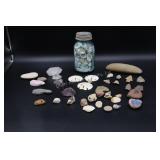 Rocks and Sea Shells