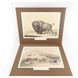 1844 London Edition George Catlin Prints (2)
