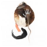 Native American Plains Style Hide Shield