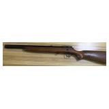 BB Gun