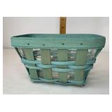 Turquoise extra small patio basket with Protector