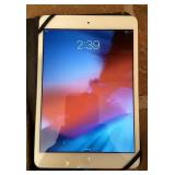 iPad mini