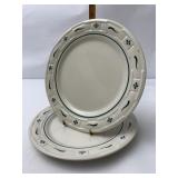 USA  green Gently used luncheon plates (2)