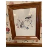 Bird picture
