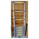 Extendable ladder