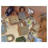 Lion, master locks and others