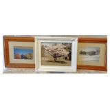 Framed photographs