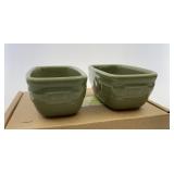 NIB Sage Dash bowls