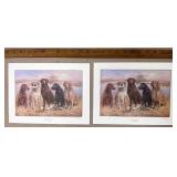 Jim Kikken Duck Masters prints