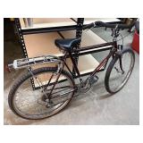 Free Spirit Physiofit Bicycle