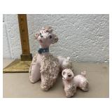 Poodles one has broken tail