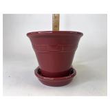 Paprika small flower pot