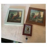 Rooster pictures