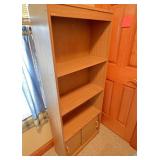 Sander type Bookcase