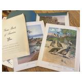 Game birds of America 12 prints