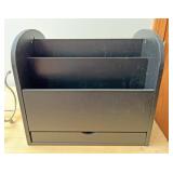 Organizer bin