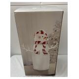 Acrylic snowman light up figurine with changing