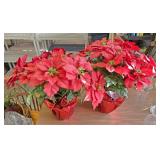 2 artificial plants