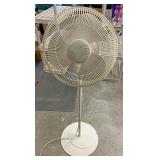 Fan