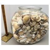 Seashells