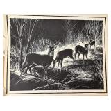 Whitetail deer print