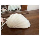 Large seashell