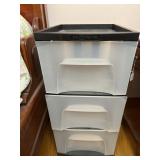 Storage organizer