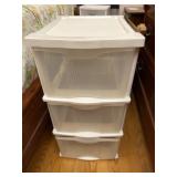 Storage organizer