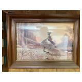 Pheasant picture
