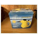 Steam cleaner