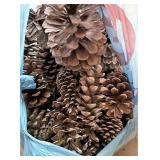 2 bags of pine cones