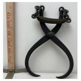 Ice tongs