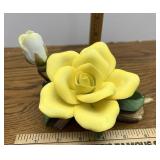Yellow rose