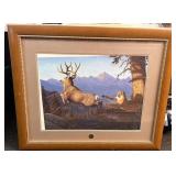 National wild turkey federation framed print