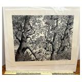 99/200 Robert Singletary The black forest offsite