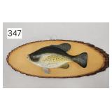 Hand Carved Crappie Mount on Slab