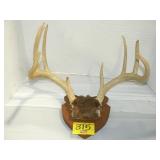 ANTLER RACK