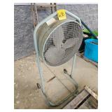 FAN