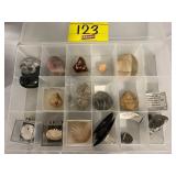 DIVIDED ORGANIZER W/ FOSSIL SHELLS, QUARTZ