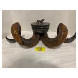 22' LONG ANTIQUE TAXIDERMY RAMS HORN SNUFF MULL