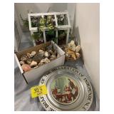 DECLARATION PLATE, SEASHELLS, BUTTERFLY DIORAMA