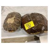 2 TAXIDERMY TURTLE SHELLS