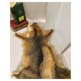 BOOKS, RACCOON? FUR PELT
