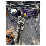 PURPLE ROADMASTER BIKE