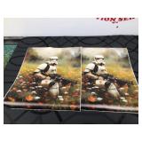(2) Star Wars Stormtroopers in Field of Flowers