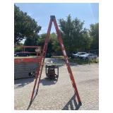 Werner 10" Ladder