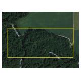 20 +/- Acres with a Cabin - Mostly Wooded