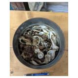 Tin of Cut Sea Shells