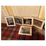 Photography are done by Frank including rooster