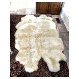 Bear rug. Stained. Needs cleaning
